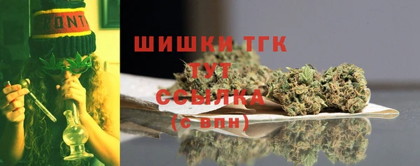 ГАЛЛЮЦИНОГЕННЫЕ ГРИБЫ Дмитров