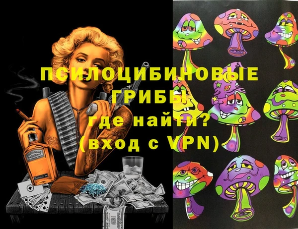 ГАЛЛЮЦИНОГЕННЫЕ ГРИБЫ Дмитров
