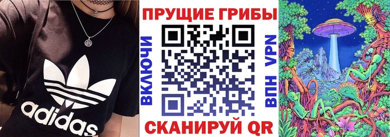 Купить где  Алексин  Галлюциногенные грибы мицелий 